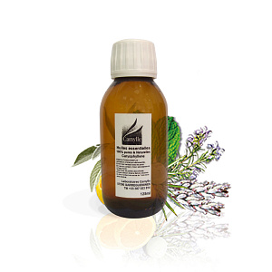 Camylle Элинья