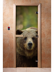 DoorWood Дверь с фотопечатью А065