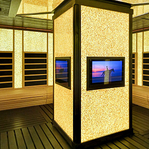 Tylo Инфракрасная панель