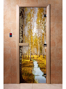 DoorWood Дверь с фотопечатью А082
