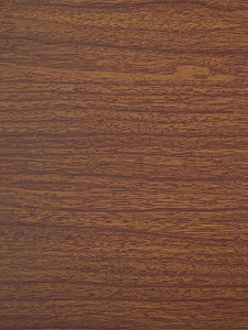 DoorWood Дверь Хамам АРТ Wood 41