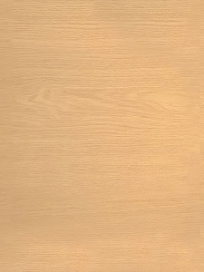 DoorWood Дверь Хамам АРТ Wood 12