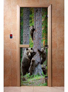 DoorWood Дверь с фотопечатью А064