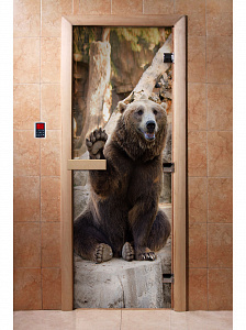 DoorWood Дверь с фотопечатью А061