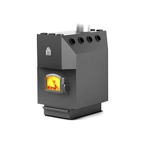 ТМФ Профессор