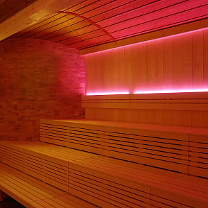 Licht-2000 Domesticus